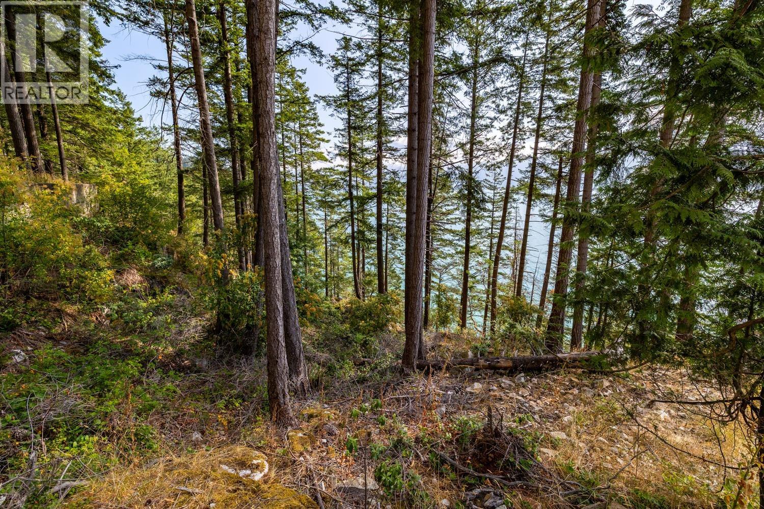 1345 Catalina Road, Bowen Island, British Columbia  V0N 1G1 - Photo 13 - R3032677