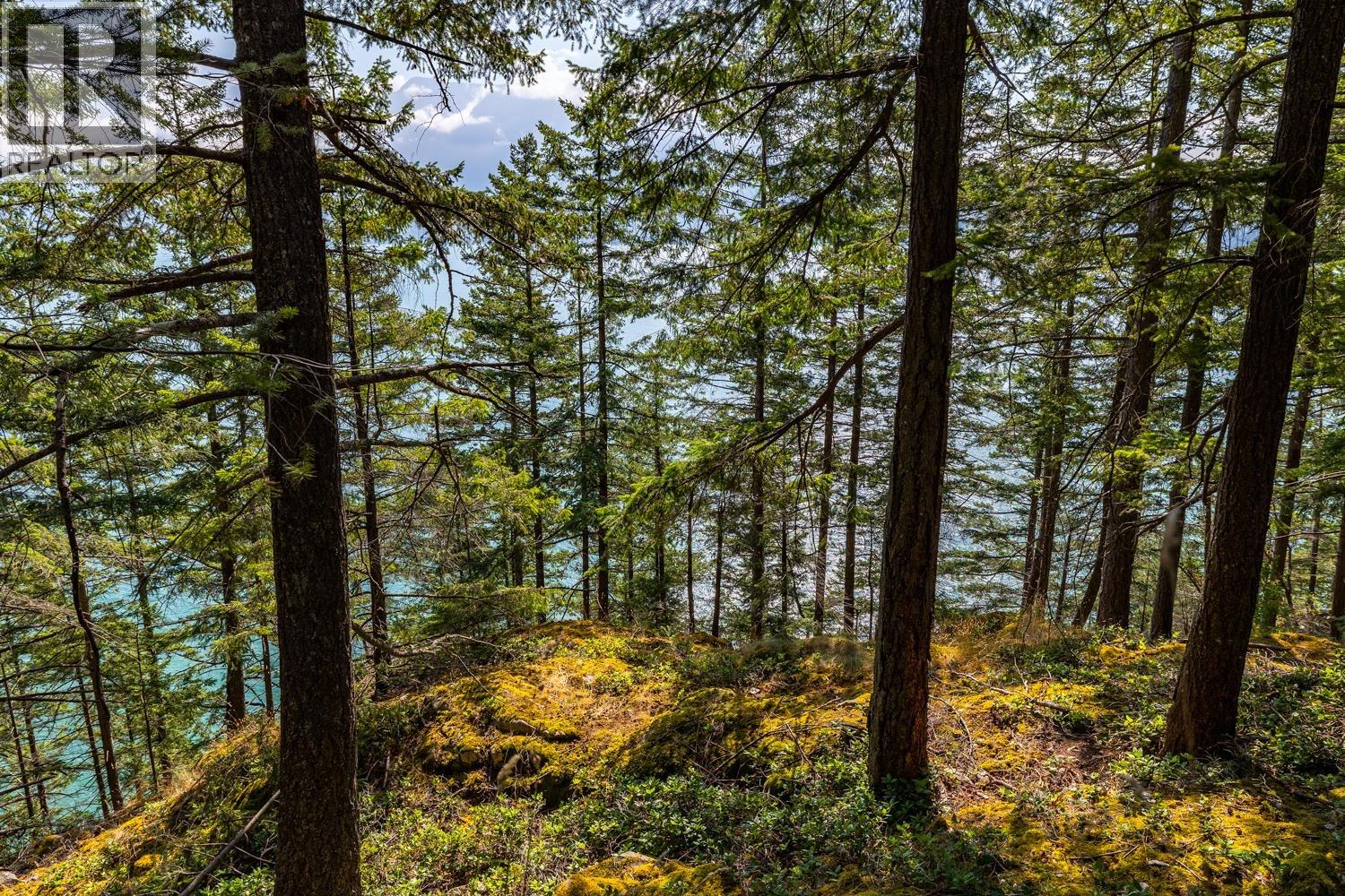 1345 Catalina Road, Bowen Island, British Columbia  V0N 1G1 - Photo 14 - R3032677