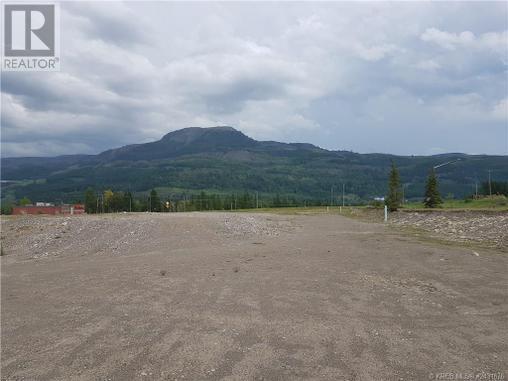 101 ASPEN Drive Unit# A, sparwood, British Columbia