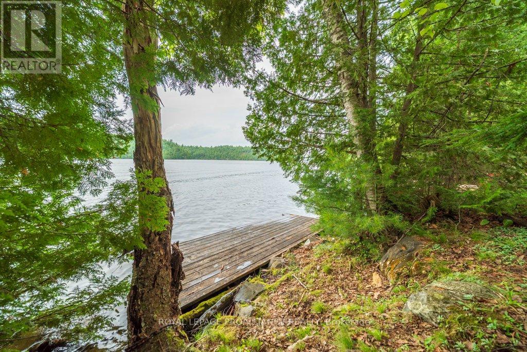1021 Blue Jay Lane, North Frontenac, Ontario  K0H 1B0 - Photo 31 - X12318827