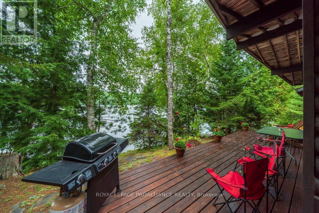 1021 Blue Jay Lane, North Frontenac, Ontario  K0H 1B0 - Photo 6 - X12318827