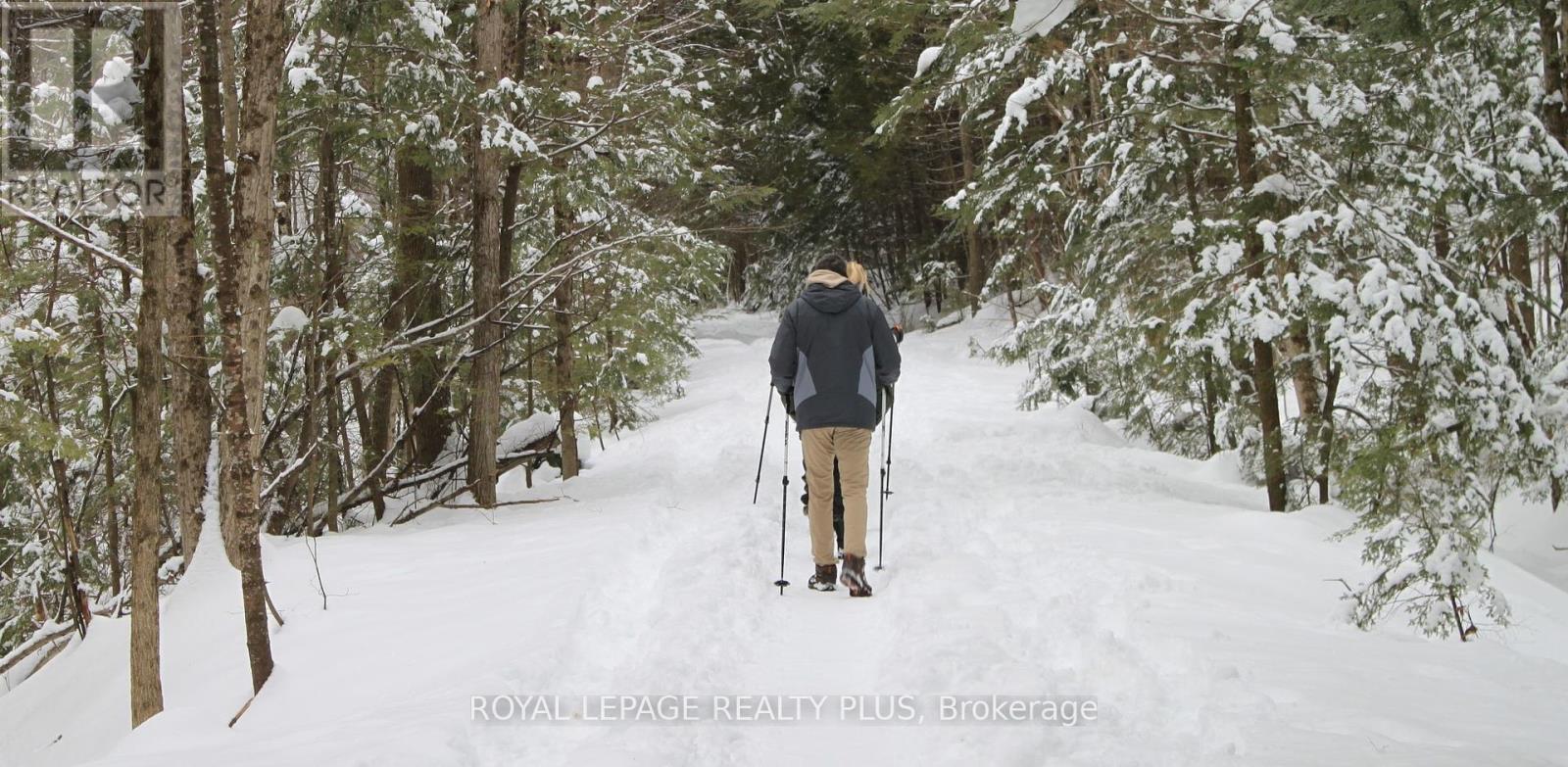 34 Magazine Street, Penetanguishene, Ontario  L9M 0W7 - Photo 10 - S12318834