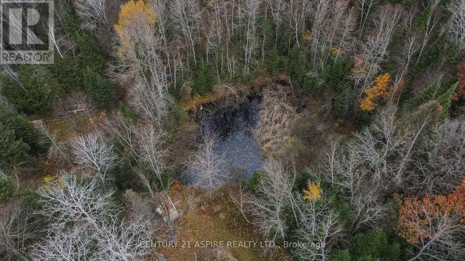 129 Mullen Road, Madawaska Valley, Ontario  K0J 1L0 - Photo 11 - X12318854