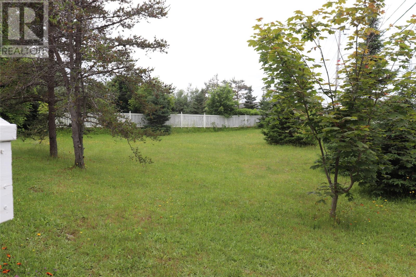 33 Colonial Avenue, Stephenville, Newfoundland & Labrador  A2N 1Y7 - Photo 3 - 1260669