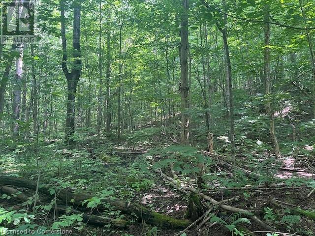 Pt Lt44 24th Side Road, Chatsworth, Ontario  N0H 1R0 - Photo 15 - 40755987