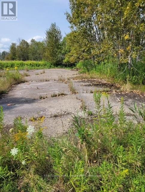 6330 County Rd. 15, Adjala-Tosorontio, Ontario  L0M 1J0 - Photo 11 - N12318906