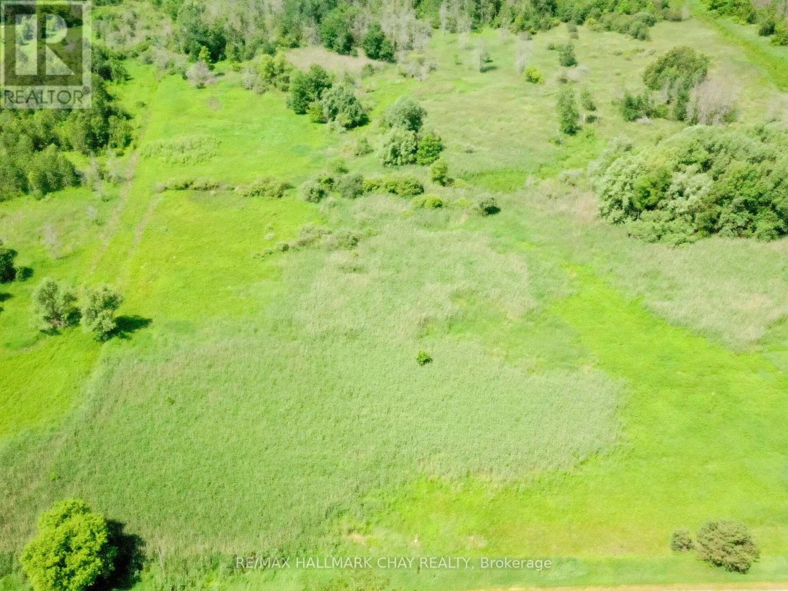 6330 County Rd. 15, Adjala-Tosorontio, Ontario  L0M 1J0 - Photo 7 - N12318906