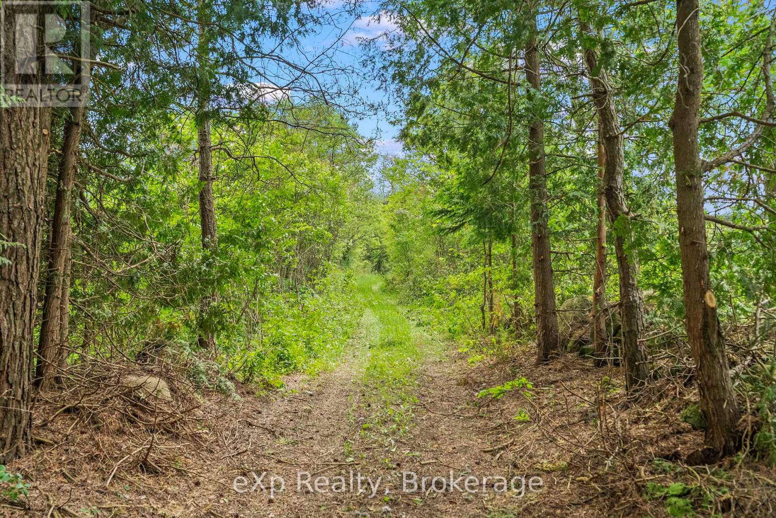314839 Highway 6, West Grey, Ontario  N0G 1R0 - Photo 16 - X12318961