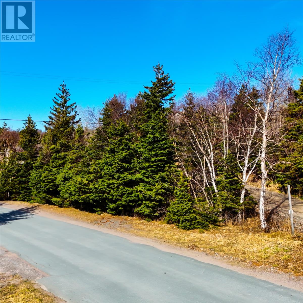 2-4 Albert Walsh Drive, Holyrood, Newfoundland & Labrador   - Photo 6 - 1288603