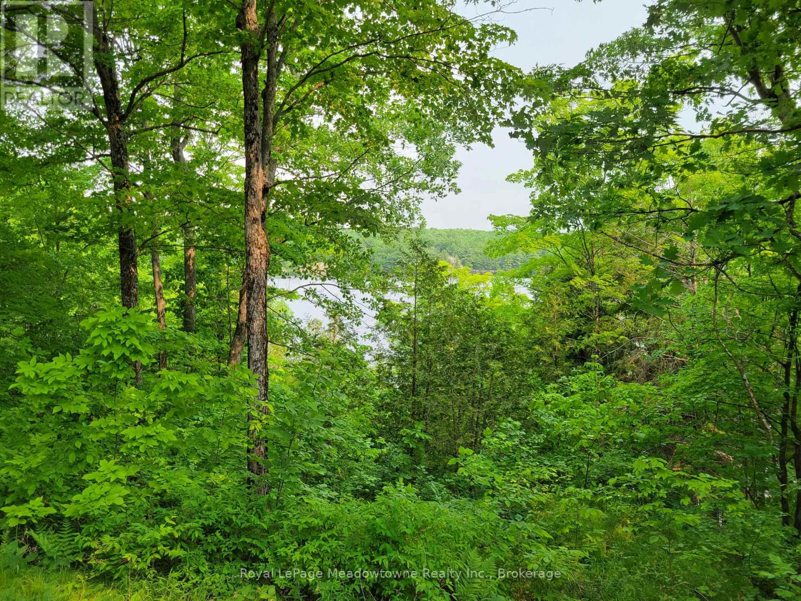 28424 Highway 7 S, Frontenac, Ontario  K0H 1B0 - Photo 21 - X12319051