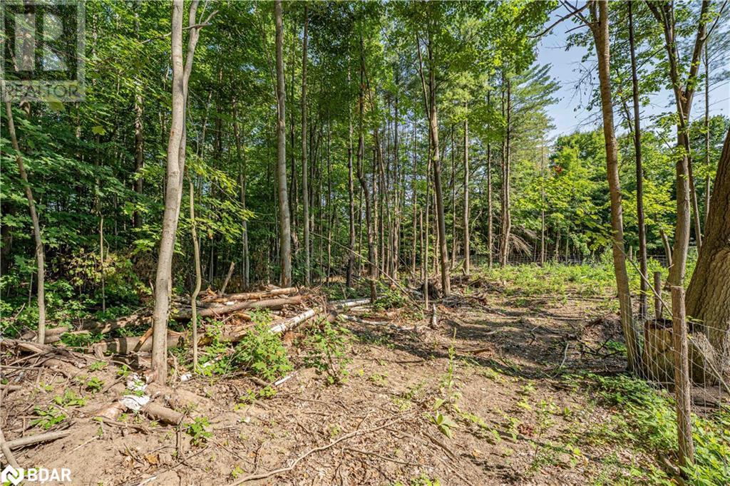 8294 County Rd 27, Barrie, Ontario  L4N 9C4 - Photo 29 - 40753723