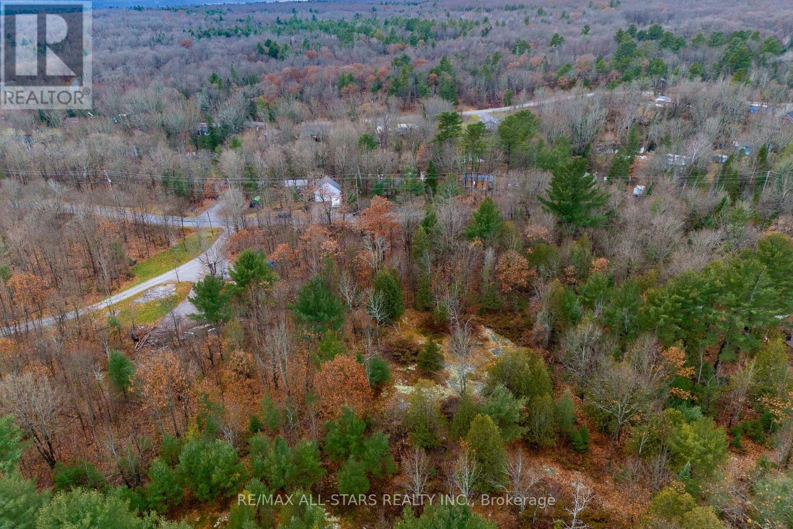 Lot 0 Edwina Drive, Trent Lakes, Ontario  K0M 1A0 - Photo 12 - X12319176