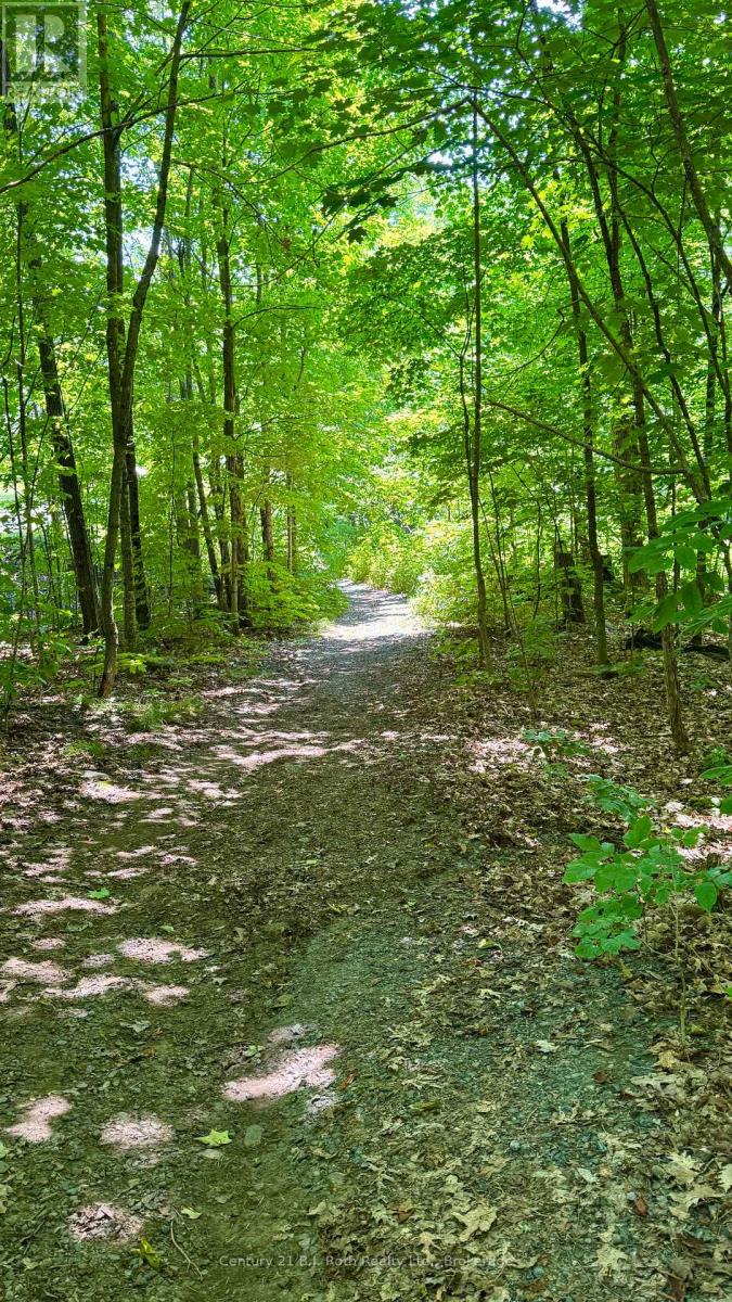 331 Grandview Hilltop Drive, Huntsville (Chaffey), Ontario  P1H 2J5 - Photo 27 - X12319213