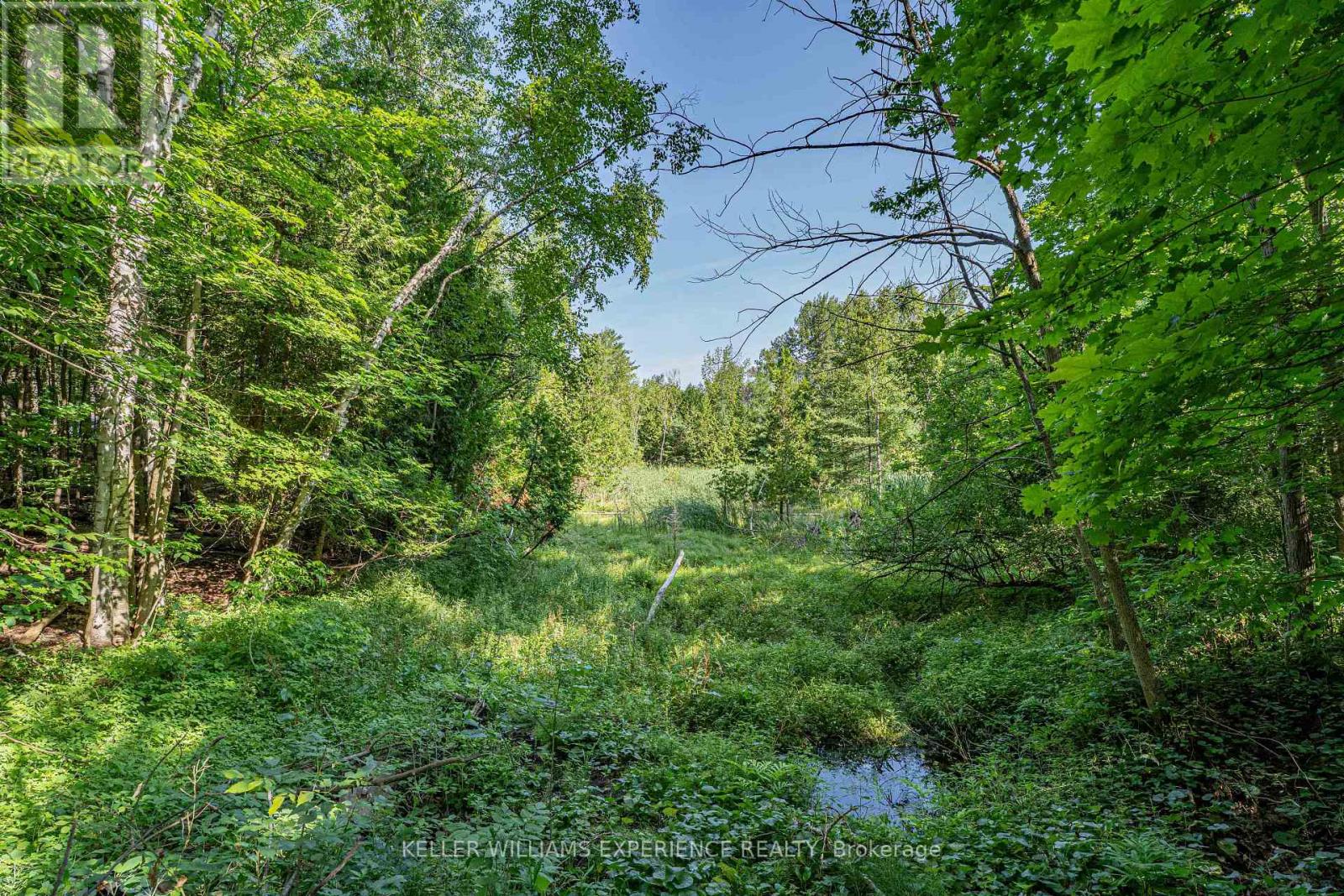 8294 County 27 Road, Essa, Ontario  L4N 9C4 - Photo 11 - N12319184