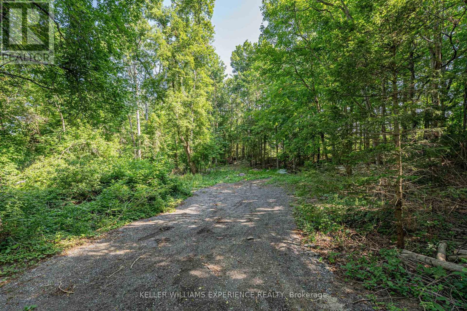 8294 County 27 Road, Essa, Ontario  L4N 9C4 - Photo 12 - N12319184