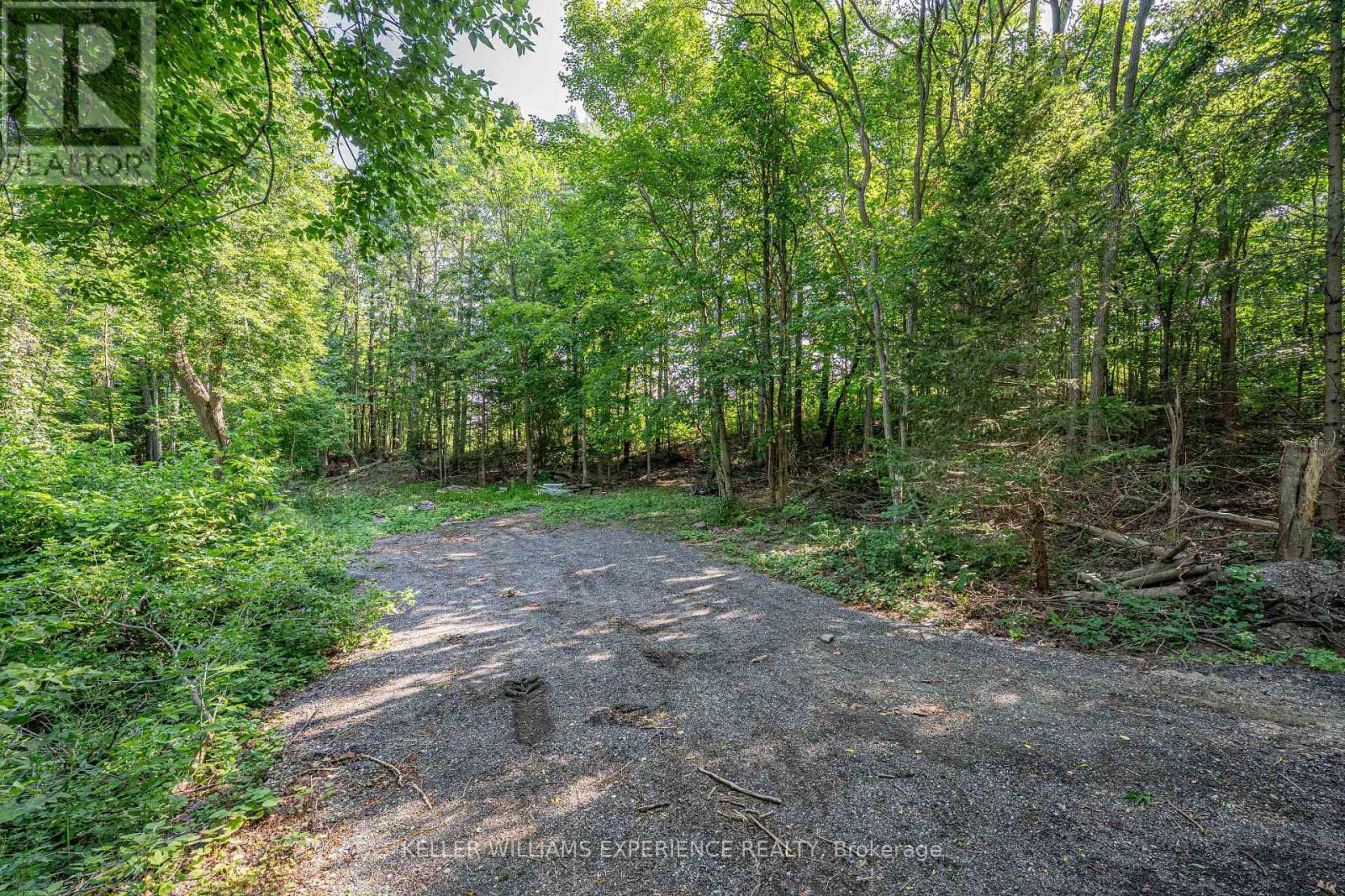 8294 County 27 Road, Essa, Ontario  L4N 9C4 - Photo 13 - N12319184