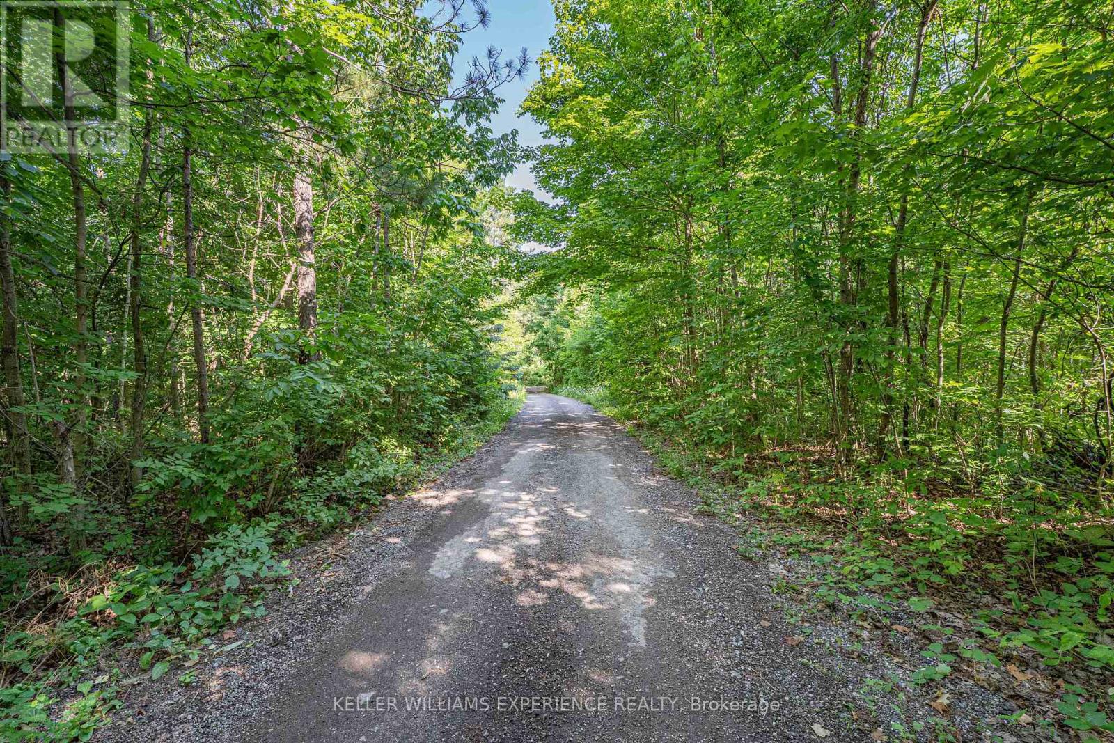 8294 County 27 Road, Essa, Ontario  L4N 9C4 - Photo 15 - N12319184