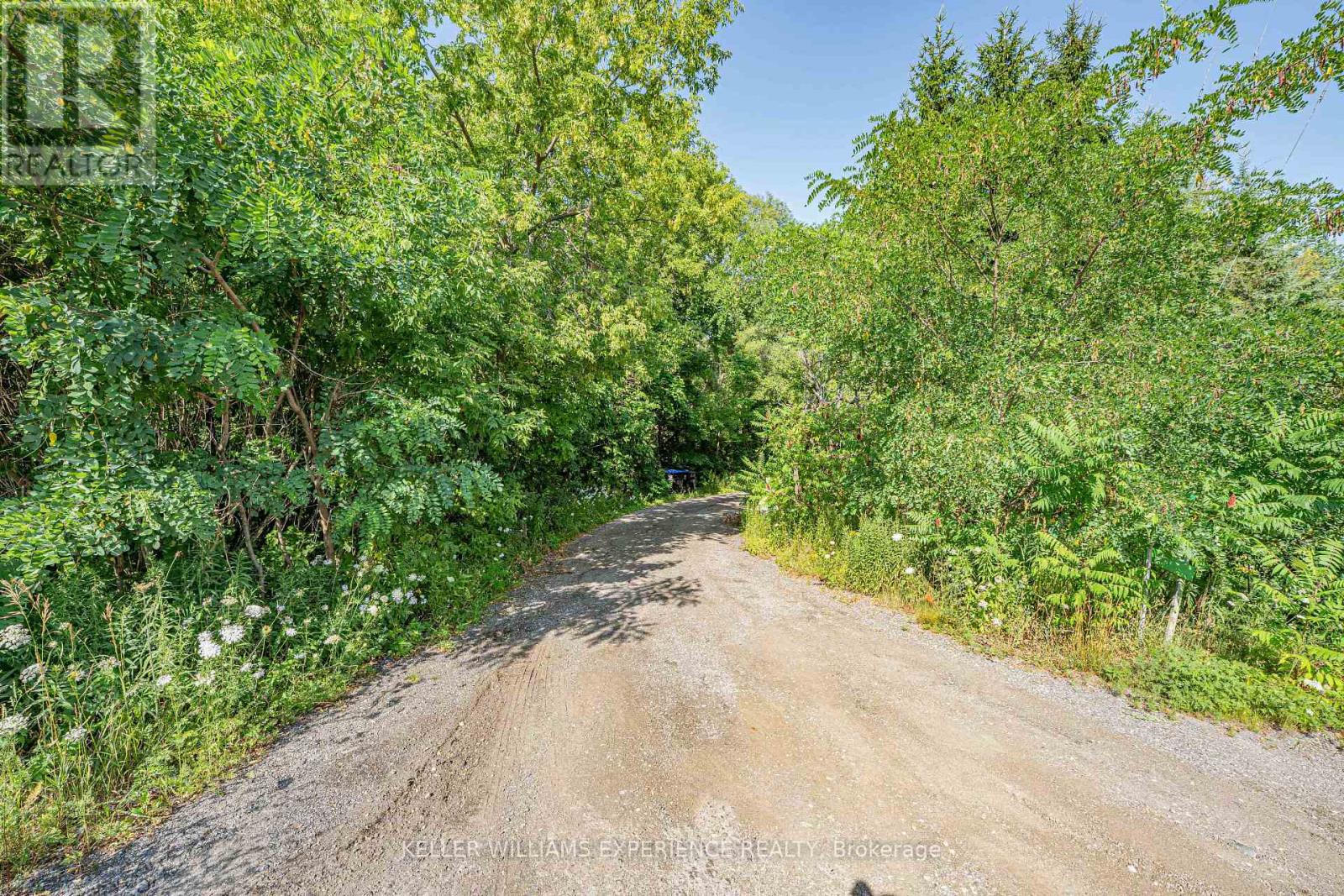 8294 County 27 Road, Essa, Ontario  L4N 9C4 - Photo 16 - N12319184