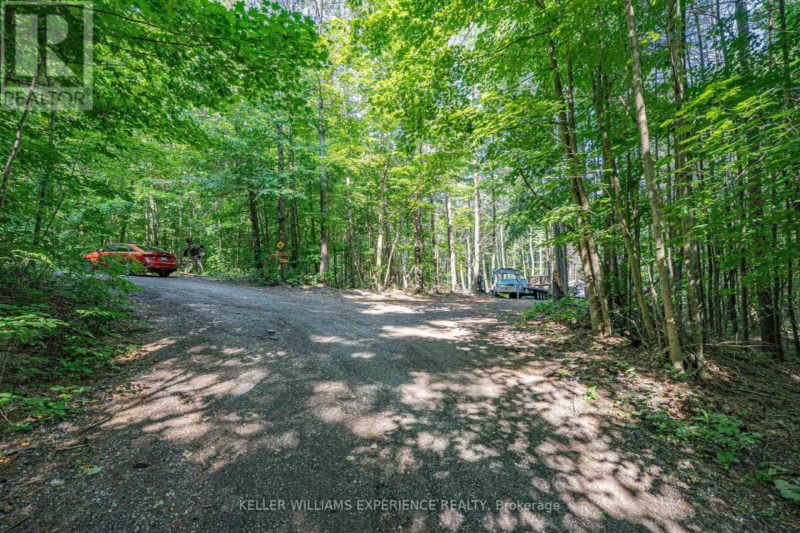 8294 County 27 Road, Essa, Ontario  L4N 9C4 - Photo 20 - N12319184