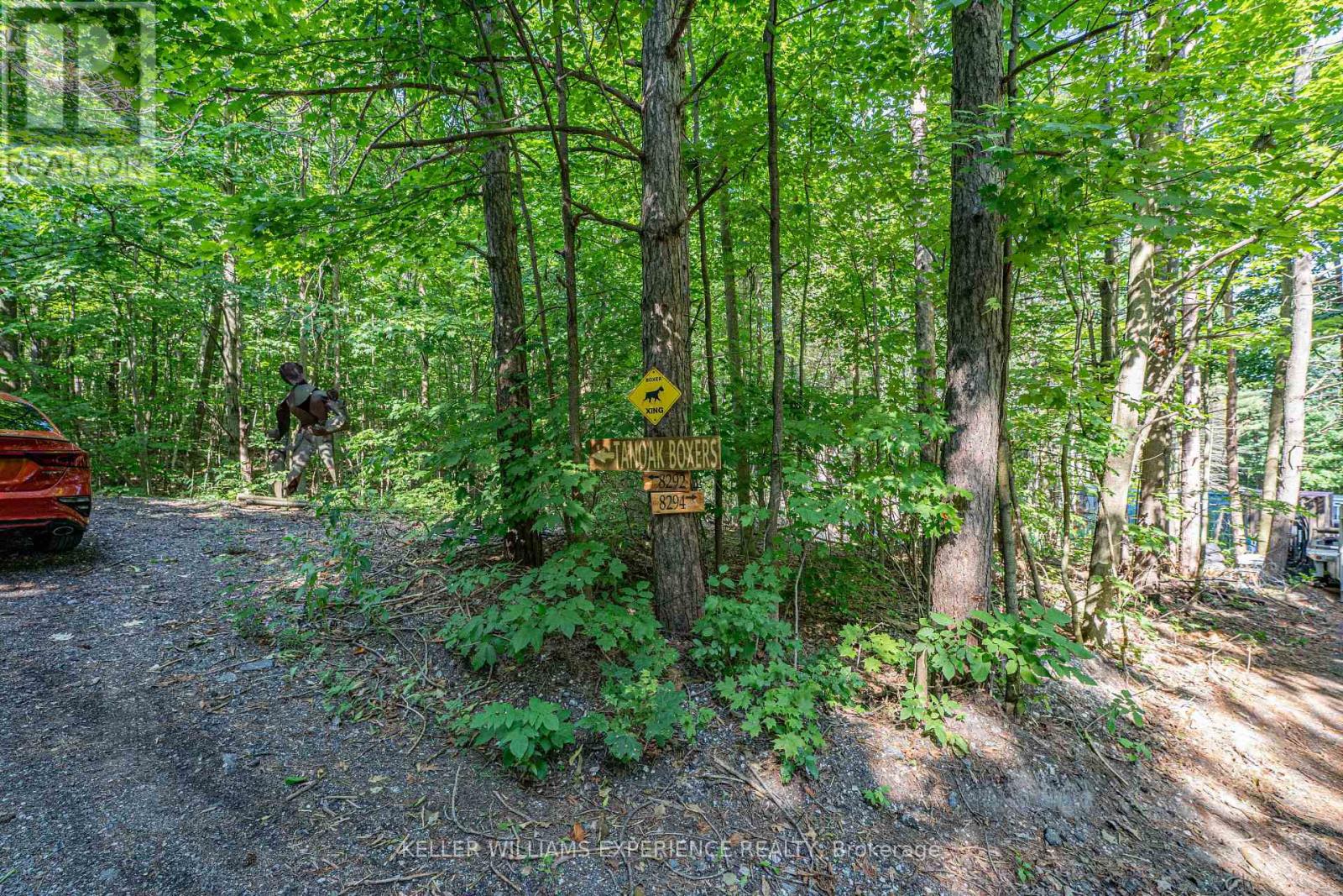 8294 County 27 Road, Essa, Ontario  L4N 9C4 - Photo 21 - N12319184