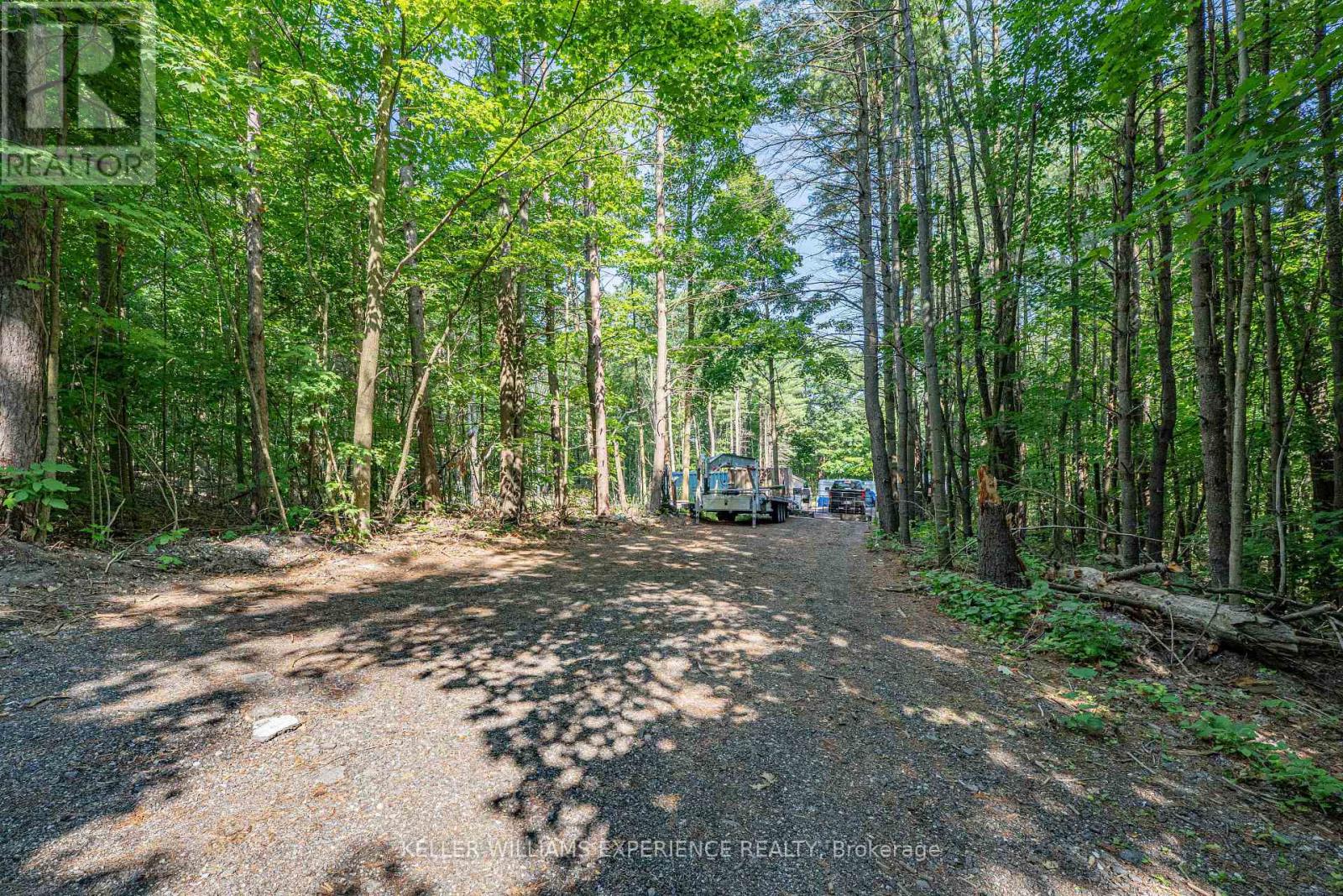8294 County 27 Road, Essa, Ontario  L4N 9C4 - Photo 22 - N12319184