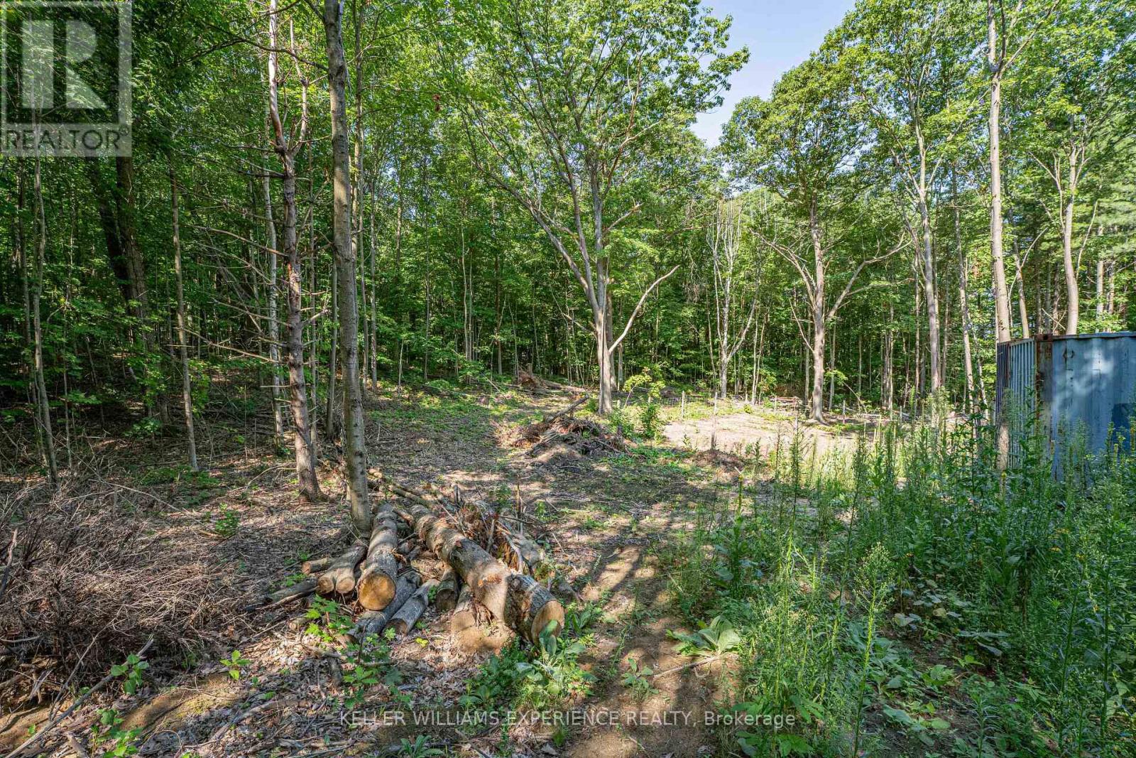 8294 County 27 Road, Essa, Ontario  L4N 9C4 - Photo 25 - N12319184