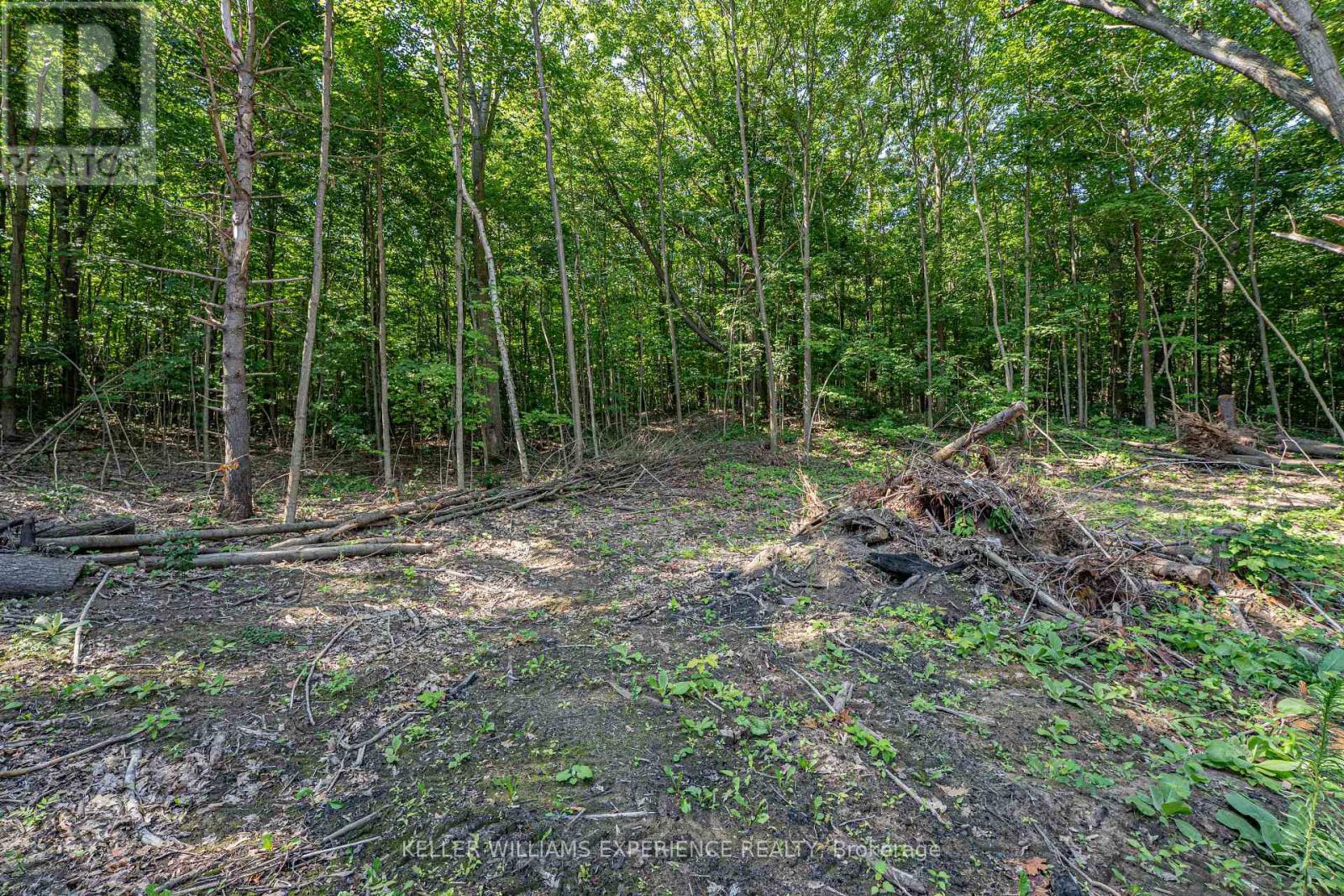 8294 County 27 Road, Essa, Ontario  L4N 9C4 - Photo 26 - N12319184