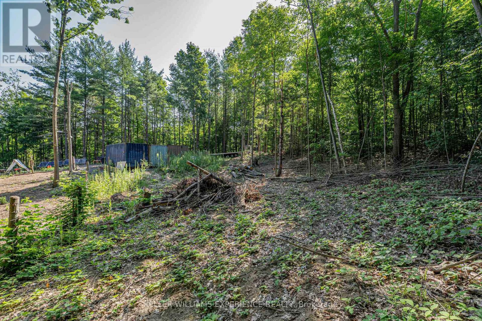 8294 County 27 Road, Essa, Ontario  L4N 9C4 - Photo 27 - N12319184
