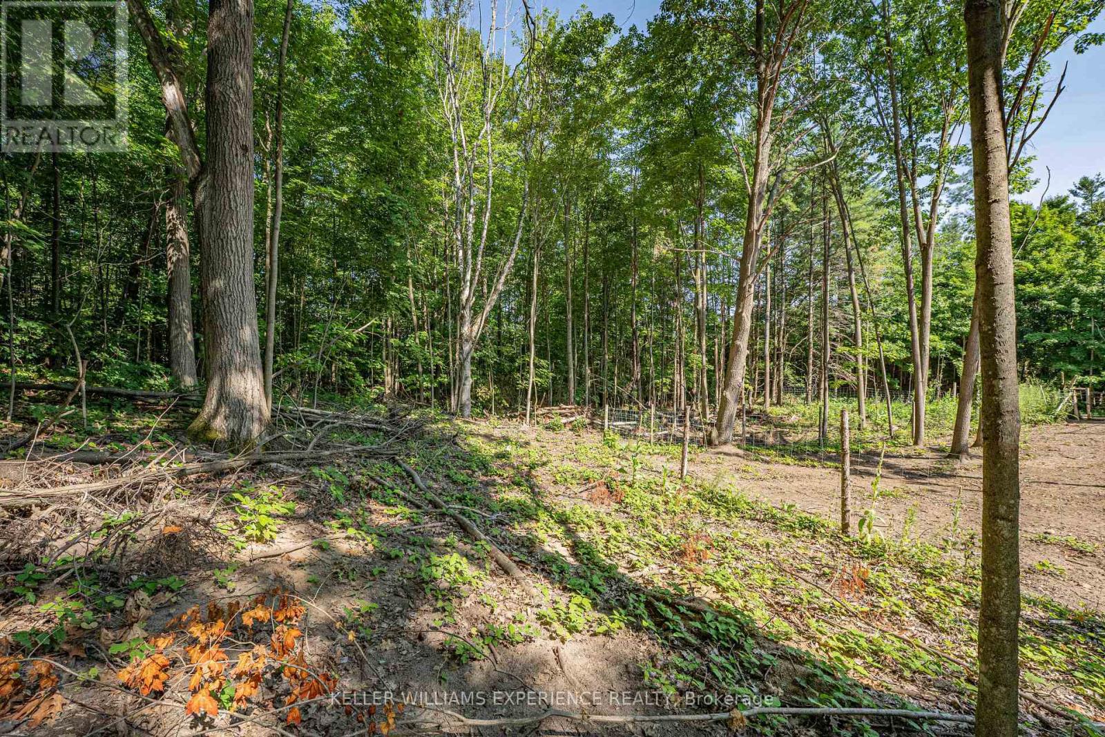 8294 County 27 Road, Essa, Ontario  L4N 9C4 - Photo 28 - N12319184