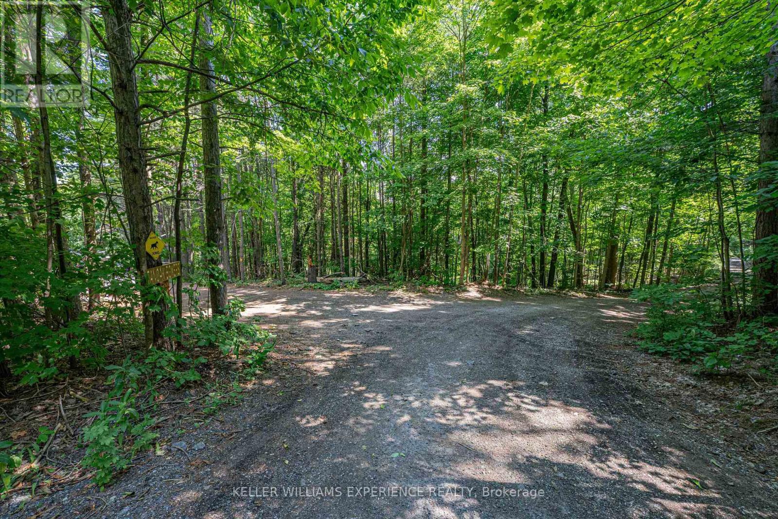 8294 County 27 Road, Essa, Ontario  L4N 9C4 - Photo 30 - N12319184