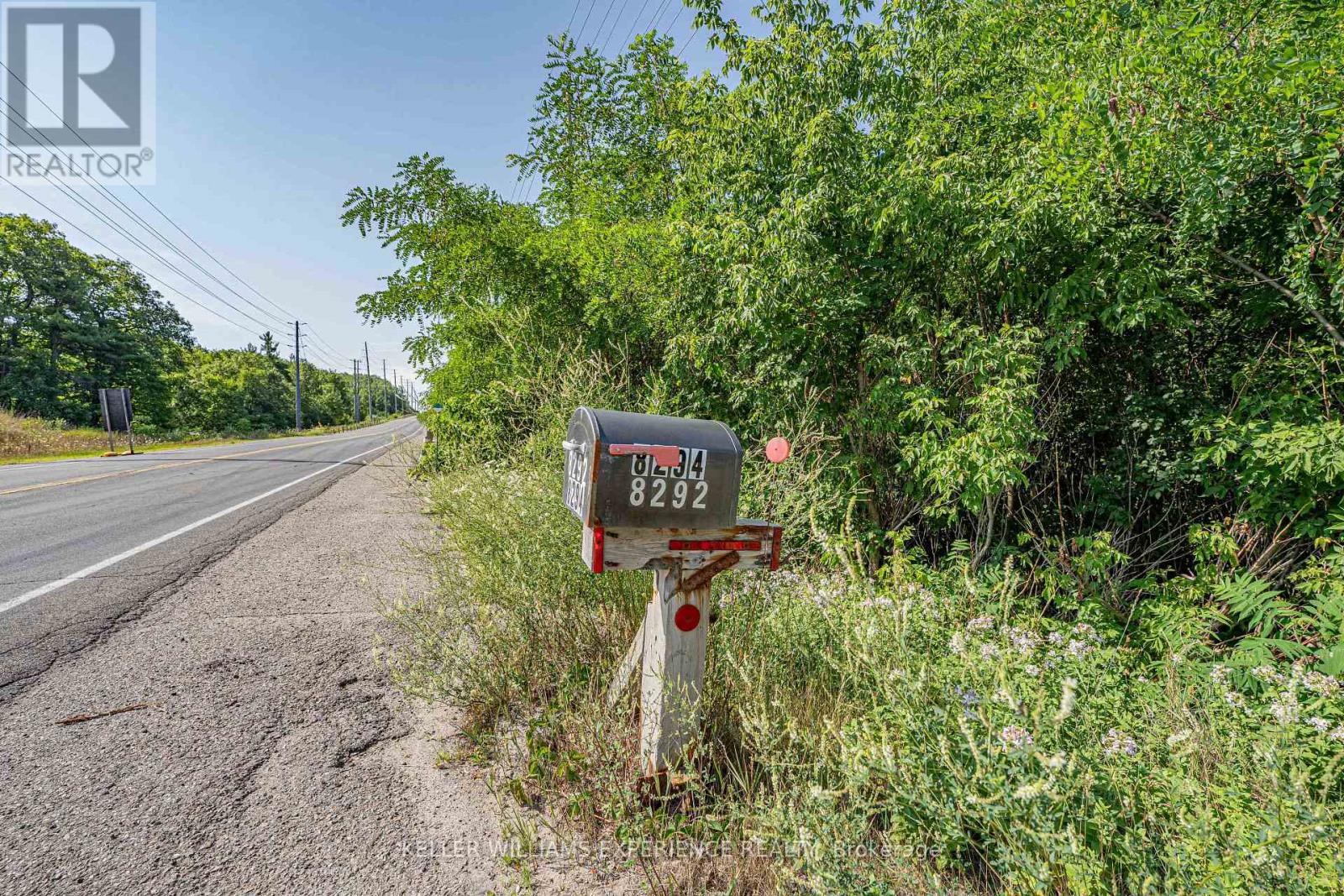 8294 County 27 Road, Essa, Ontario  L4N 9C4 - Photo 4 - N12319184