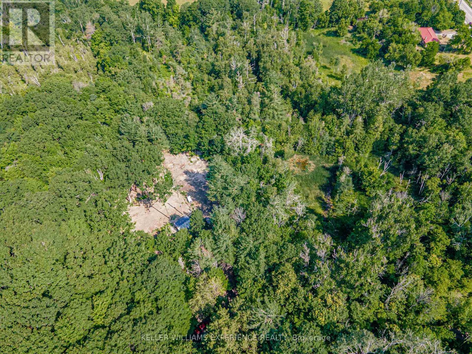 8294 County 27 Road, Essa, Ontario  L4N 9C4 - Photo 9 - N12319184