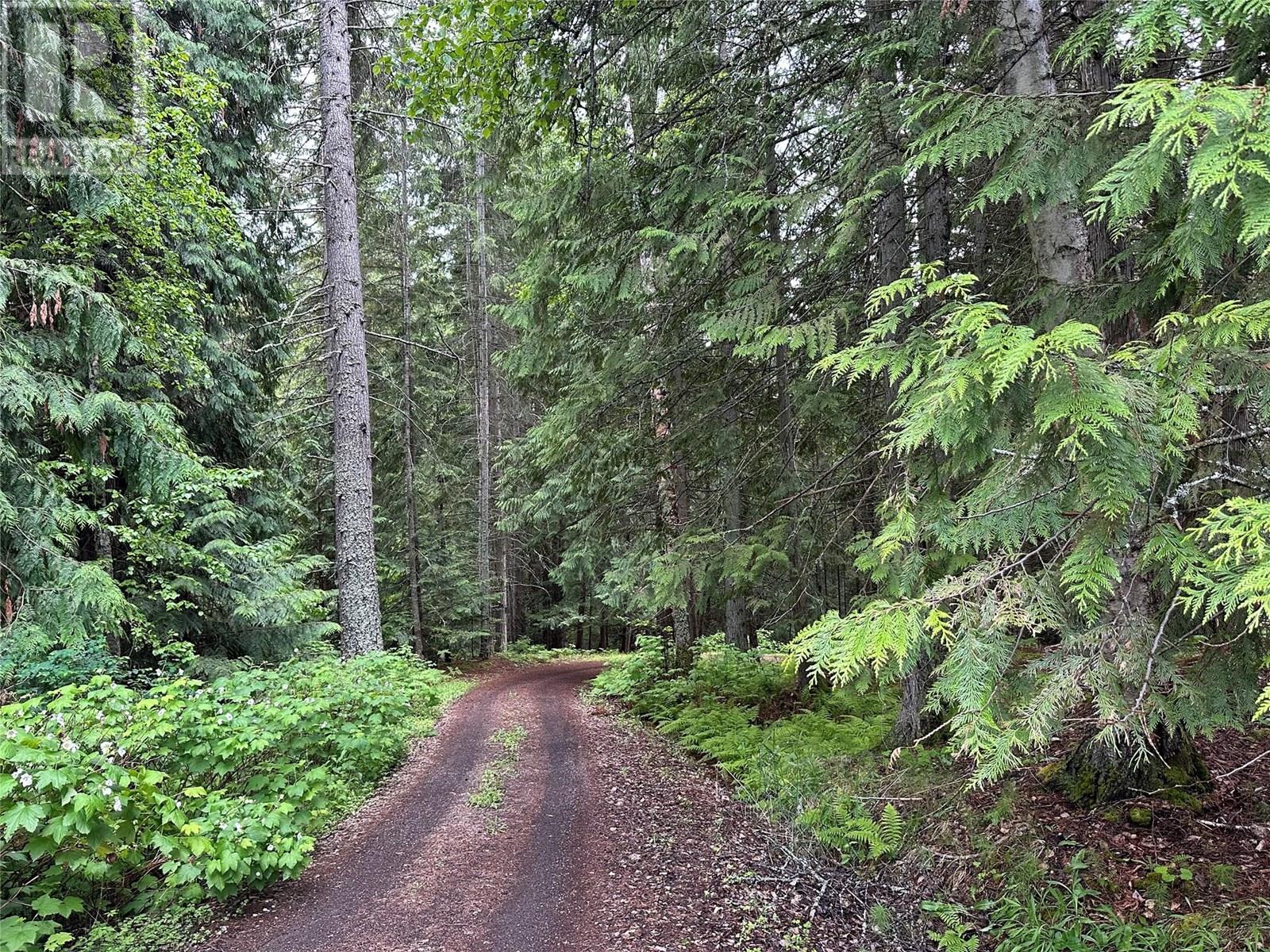 5392 Hwy 6 Highway, Burton, British Columbia V0G 1R0 - Photo 6 - 10357440