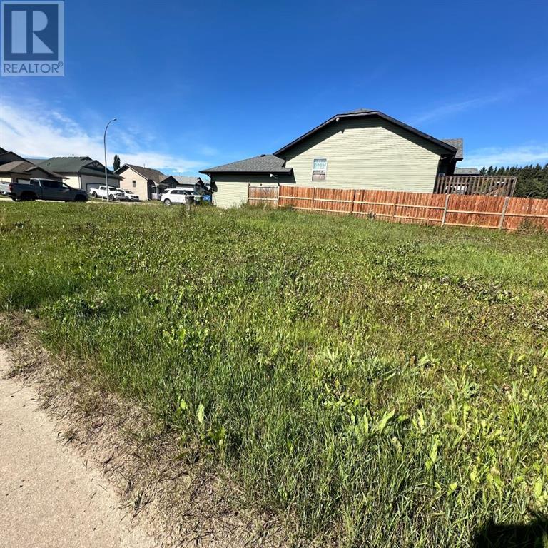 5802 44 Avenue, Rocky Mountain House, Alberta  T4T 0A1 - Photo 5 - A2226990