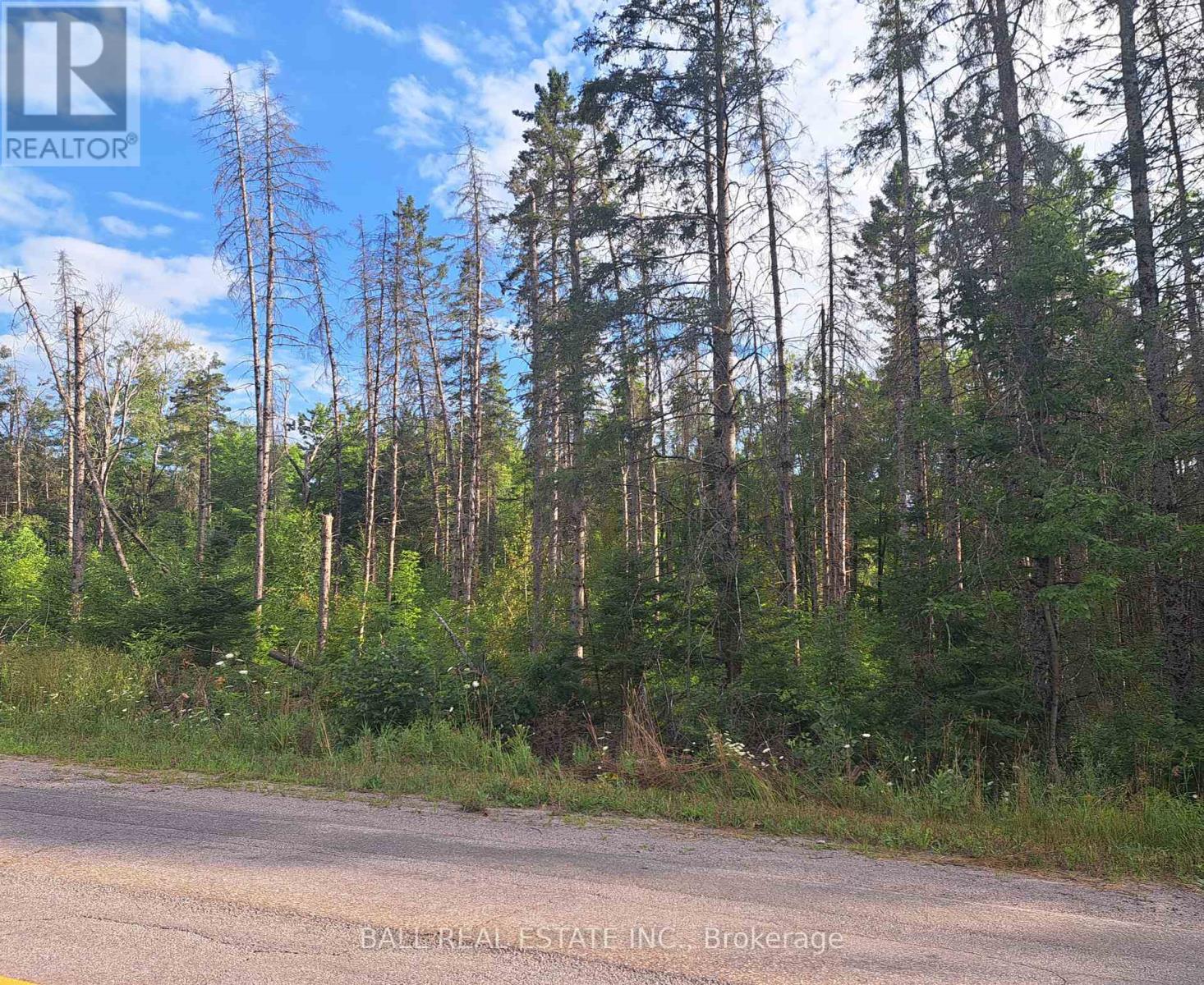 0 Cordova Road, Marmora And Lake, Ontario  K0L 2M0 - Photo 1 - X12319487