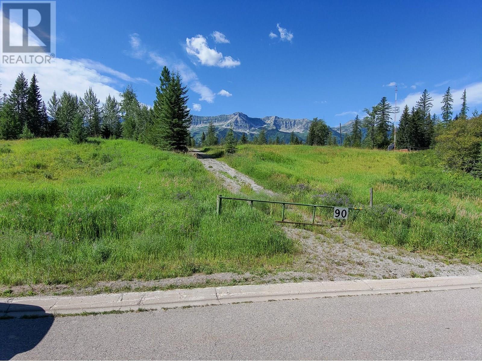 90 Castle Mountain Road, Fernie, British Columbia  V0B 1M4 - Photo 3 - 10358045
