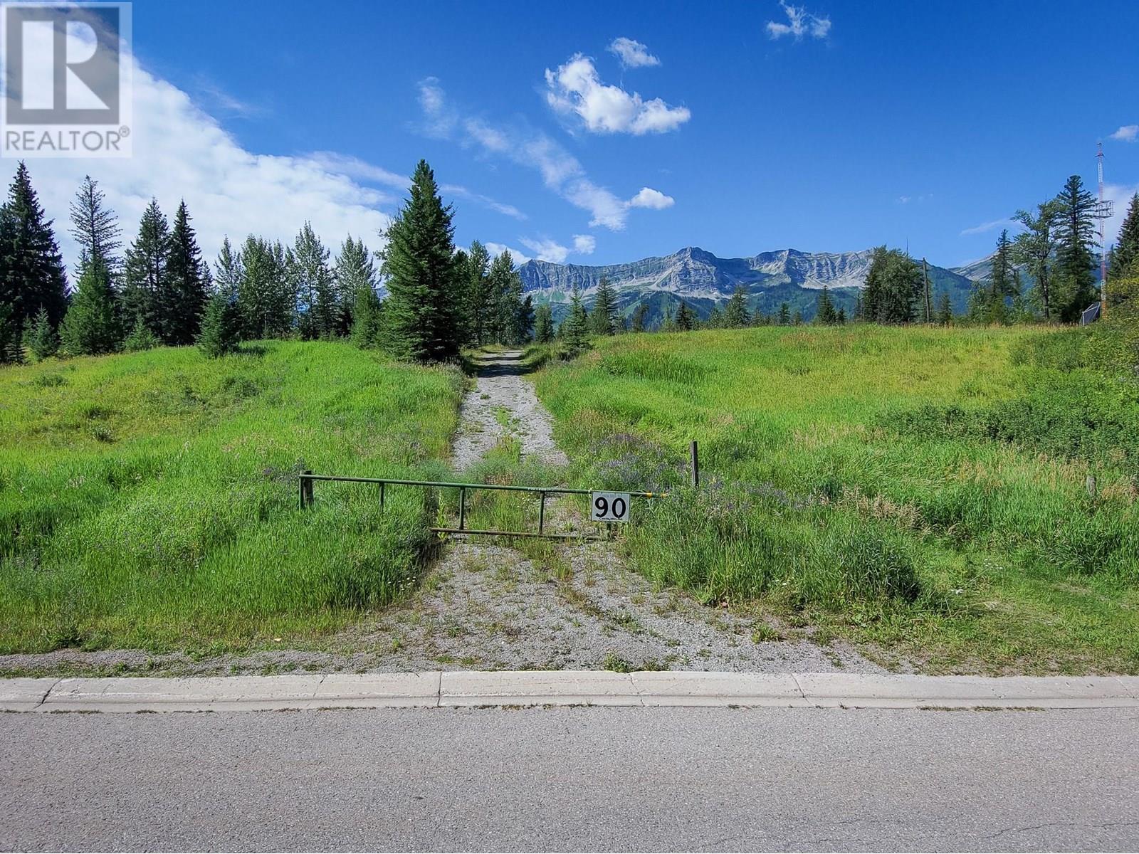 90 Castle Mountain Road, Fernie, British Columbia  V0B 1M4 - Photo 4 - 10358045