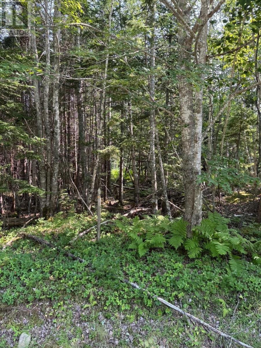 Lot 40a Mackenzie Point Road, Mackenzie Point, Nova Scotia  B0E 3K0 - Photo 20 - 202519113