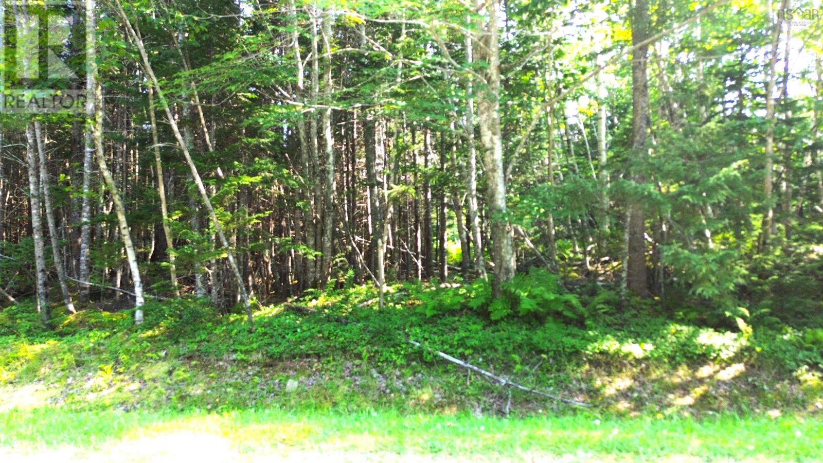 Lot 40a Mackenzie Point Road, Mackenzie Point, Nova Scotia  B0E 3K0 - Photo 13 - 202519113