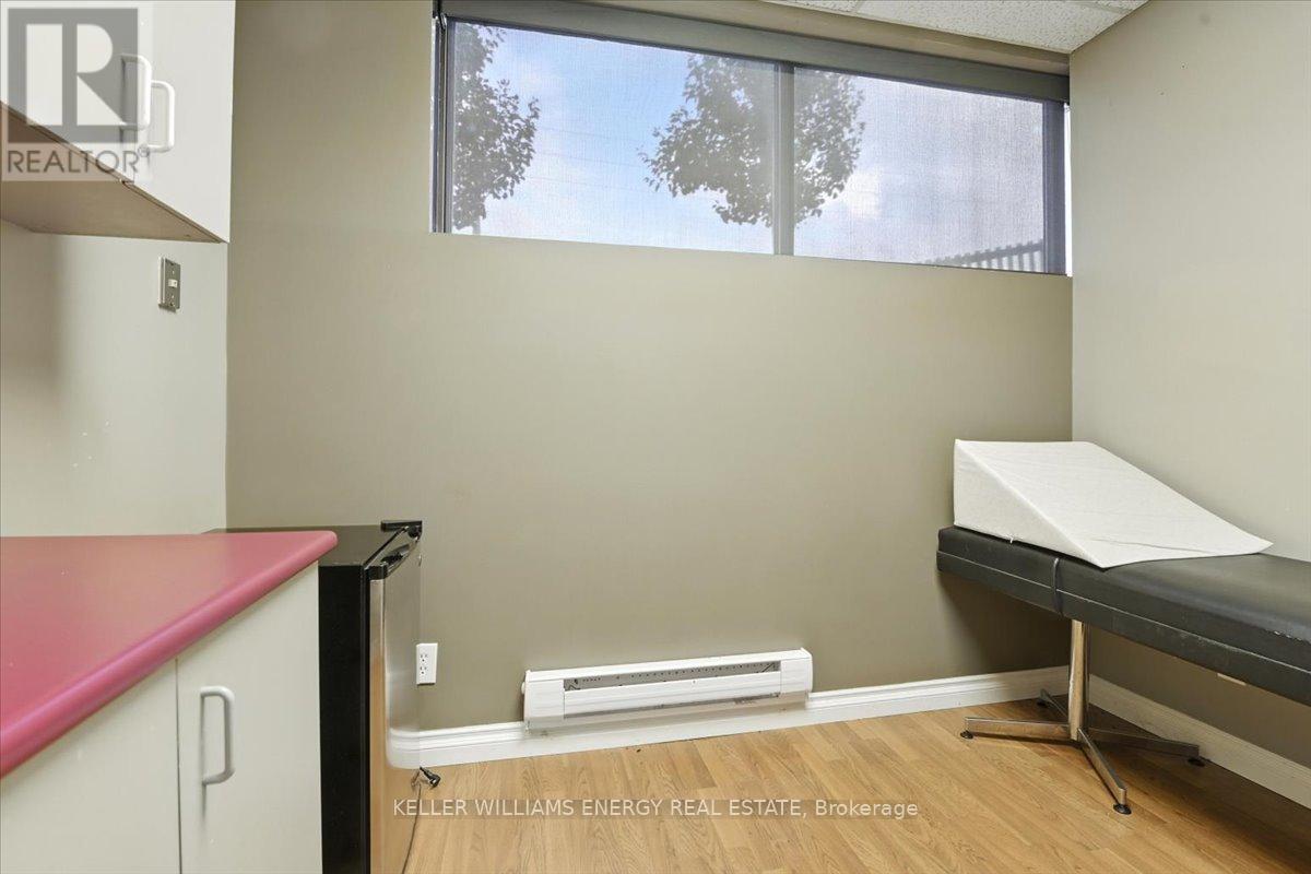 Lower Level - 372 King Street W, Oshawa, Ontario  L1J 2J9 - Photo 16 - E12318259