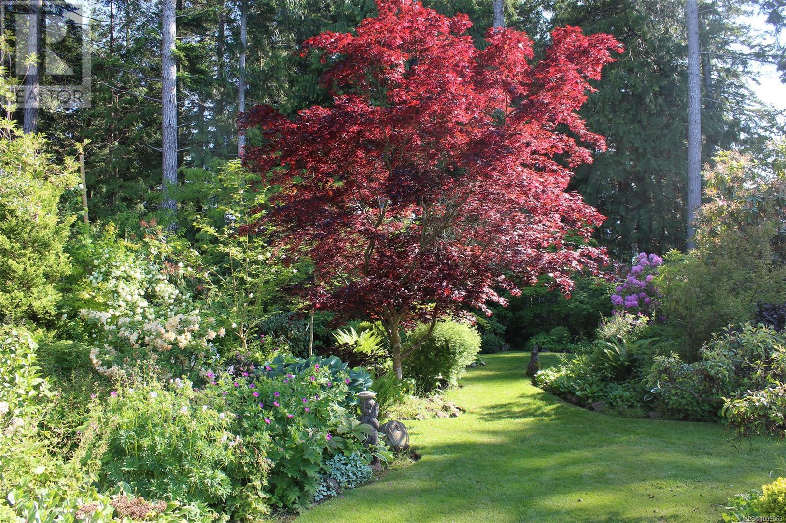 7679 Victor Lane, Fanny Bay, British Columbia  V0R 1W0 - Photo 37 - 1009063