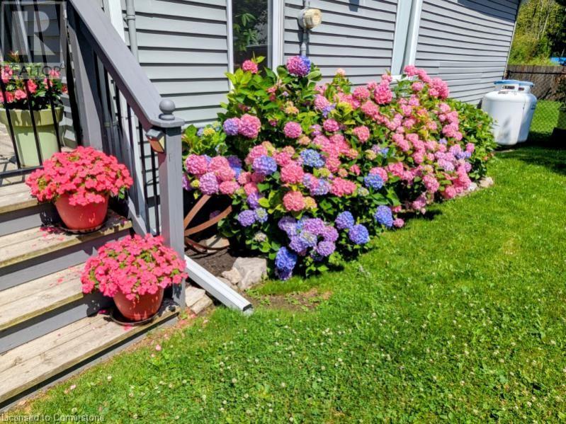 282 Baygrove Line, Dunnville, Ontario  N1A 2W8 - Photo 42 - 40755439