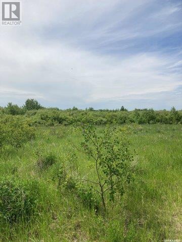 Kunitz Farm, Tullymet Rm No. 216, Saskatchewan  S0A 1N0 - Photo 11 - SK014419