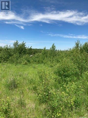 Kunitz Farm, Tullymet Rm No. 216, Saskatchewan  S0A 1N0 - Photo 12 - SK014419