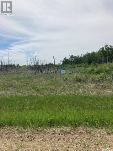Kunitz Farm, Tullymet Rm No. 216, Saskatchewan  S0A 1N0 - Photo 17 - SK014419