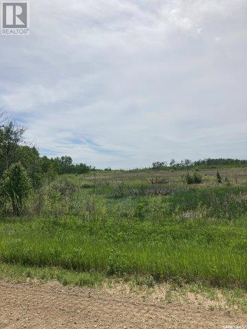 Kunitz Farm, Tullymet Rm No. 216, Saskatchewan  S0A 1N0 - Photo 19 - SK014419