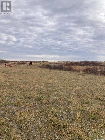 Kunitz Farm, Tullymet Rm No. 216, Saskatchewan  S0A 1N0 - Photo 23 - SK014419