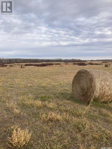Kunitz Farm, Tullymet Rm No. 216, Saskatchewan  S0A 1N0 - Photo 26 - SK014419