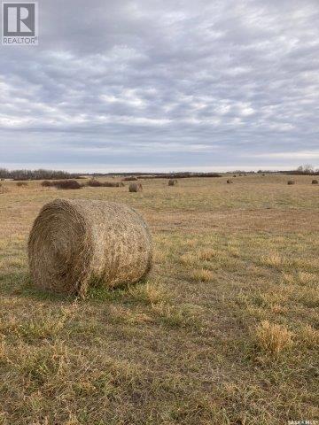 Kunitz Farm, Tullymet Rm No. 216, Saskatchewan  S0A 1N0 - Photo 27 - SK014419