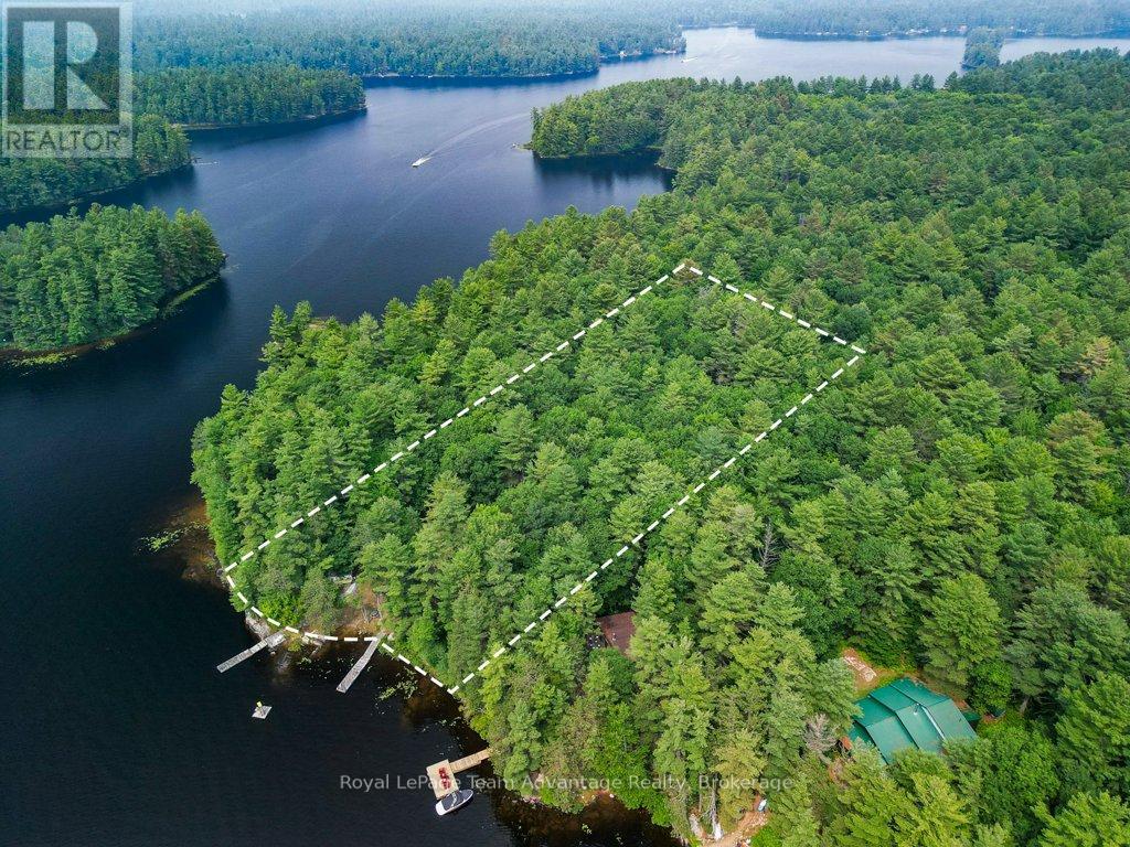 Lot 8 Harris Lake Water, Parry Sound Remote Area, Ontario  P0G 1K0 - Photo 39 - X12319879